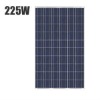 Wholesale 225W Poly Solar Module