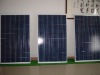 230w poly solar panels