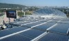 Wholesale 230w Poly Solar Panel
