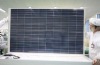 260w Solar Panel