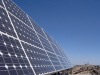 Wholesale 310 watt Poly Solar module