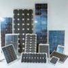 Wholesale 5watt poly solar panel module