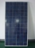 Wholesale 300W solar panels (poly)