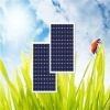 Wholesale 280W poly solar panel for WATERPUMP