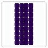Wholesale solar panels