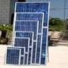 Wholesale 5W~300W polycrystalline silicon solar panel