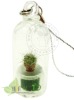 Wholesale Pet tree.Mini plant.Angel plant