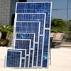 Wholesale 40W poly-crystalline silicon solar modules