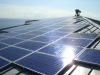 Wholesale OUMEIDE 260W polycrystalline solar panel