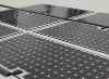 Wholesale solar monocrystalline module