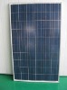 Wholesale solar module(QSSM-240P) with TUV