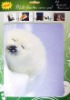 Wholesale mouse pad