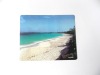 Wholesale (hot selling gift) PP mouse pad