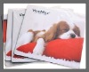 Wholesale (2011 fty supply) promotional mouse pad