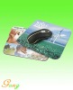 Wholesale Promotional mouse mat