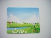 Wholesale (MOQ1000PCS) EVA foam mouse pad / mouse pad