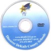 Wholesale 8cm DVD5 Replication