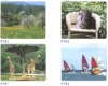 Wholesale Natural Rubber Mouse Pad / Photo Mouse Pad / Eva,Rubber Mouse Pad / PVC,PP Mouse Pad / Extra Thin Mouse Pad