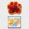 Wholesale Mouse Pad