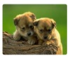 Wholesale mouse mat