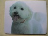 Wholesale rubber mouse pad