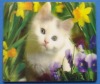 Wholesale 3D advertising rubber mouse pad