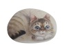 Wholesale Pet pad