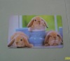 Wholesale animal pad