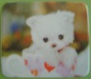 Wholesale photo mouse pads