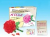 crystal toy bricks - crystal rose