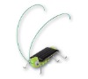 Wholesale solar locust
