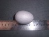 Wholesale 60mm styrofoam egg