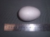 Wholesale 78mm styrofoam egg