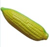 Wholesale pu corn