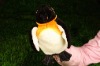 Wholesale animal puppet