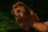 Wholesale animal puppet