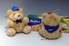 Mini Plush Toy, Mini Plush Bear, Mini Jointed Bear Bear with T-shirt Scarf Cap