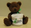 Plush Bear with Storage Bag Plush Sitting Bear Stuffed Sitting Bear with Bag
