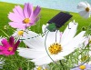 Wholesale Locust Shape Solar Toy