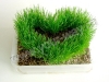 Wholesale Magic grass