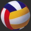 Short plush volleyball