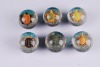 Wholesale 3D turtle bouncing ball