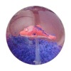 fish bounce ball