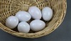Wholesale plastic educational toys,Egg Toys,intelligence toy