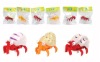 Wholesale Wind up crab