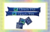 Wholesale promotional pe stick
