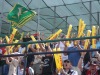 Wholesale cheering sticks