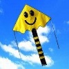 Wholesale smile face flying kite(BEST-K010)