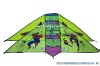 Wholesale Sport Kite