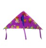 Wholesale Fly Kites New Nylon & Plastic Triangle